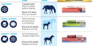 foal worming guide