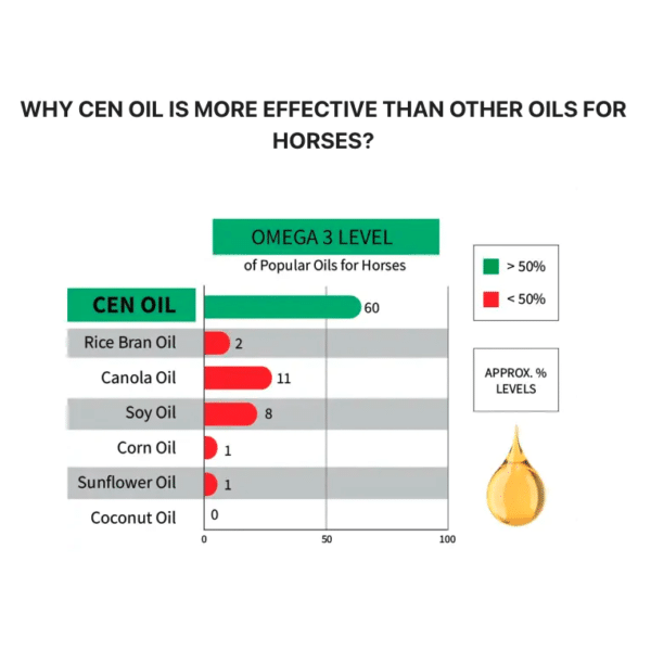 Cenoil Specs