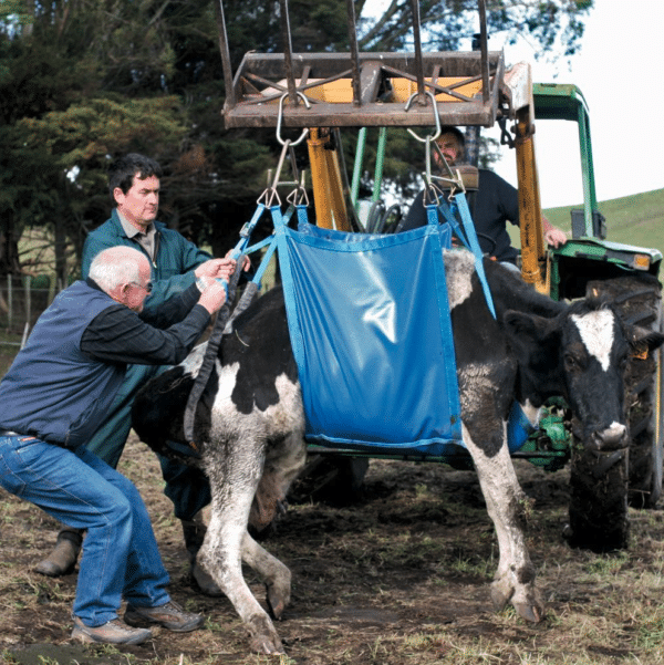 Daisy Lifter Standard Blue cpt in use 2