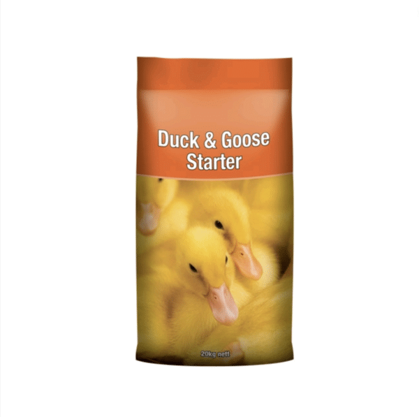 Duck goose starter