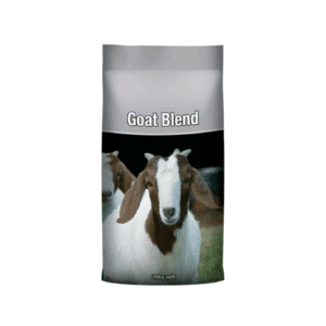 Goat Blend copy