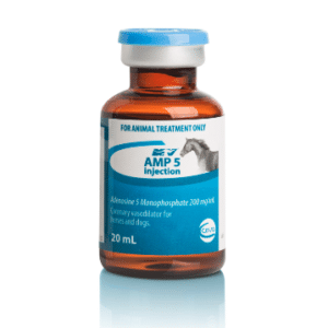 AMP 5 Injection for Horses Dogs 20ml 1 1