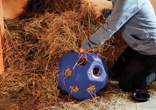 Horse toy hayball blue