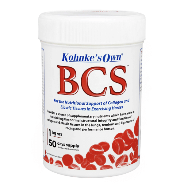 Kohnkes own bcs