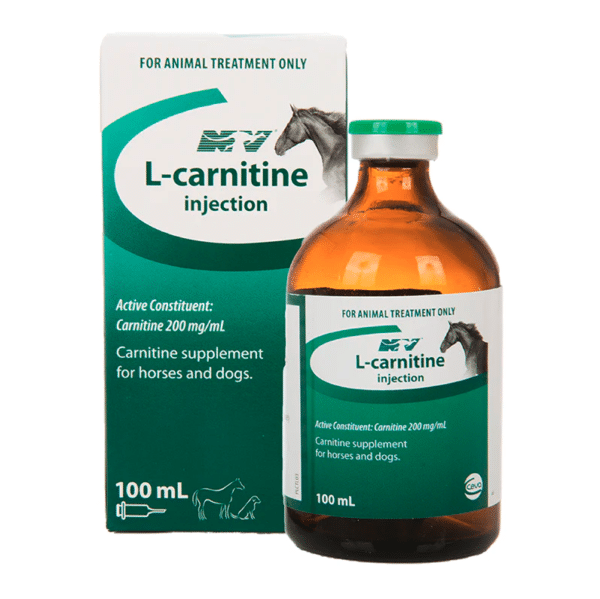 L Carnitine Injection 100ml