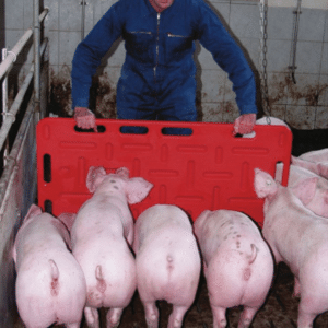 Pig sorting board red 126cm x 76cm
