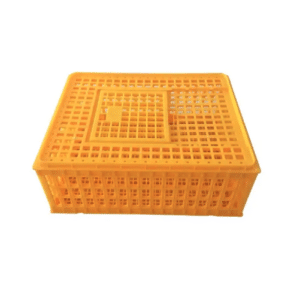 Poultry chicken crate