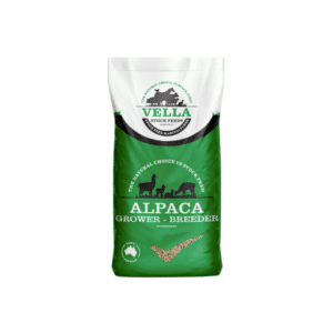 Alpaca