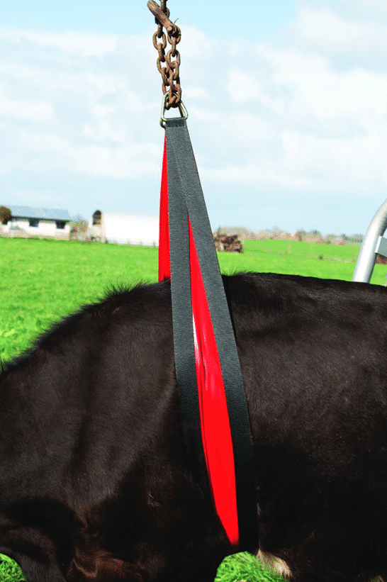 Cow Lifter Belly Strap 2.4m