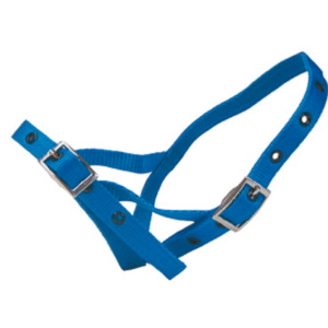 Halter nylon calf tethering blue