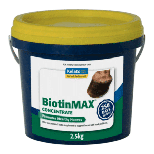 Kelato biotinmax concentrate 2205kg