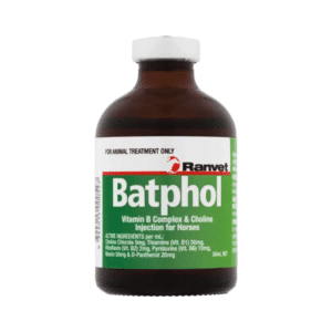 Ranvet batphol vitamin b complex choline injection for horses 50ml