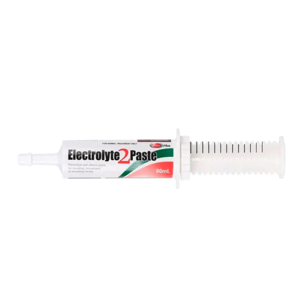 Value plus electrolyte 2 paste for horses 60ml