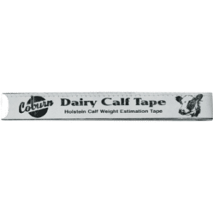 Weight tape holstein calf