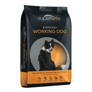 Supervite working dog