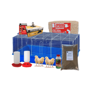 Chick Rearing Brooder Kit