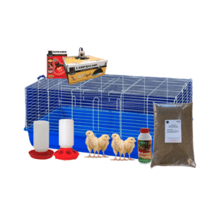 Chick rearing kit