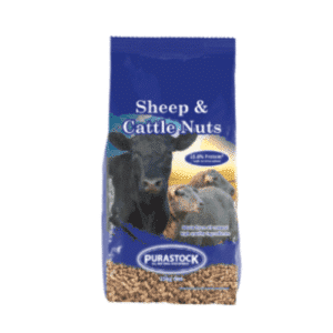 Sheep cattle nuts
