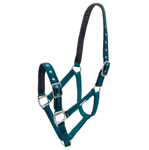 Aurora halter teal