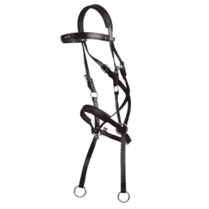 Bitless bridle