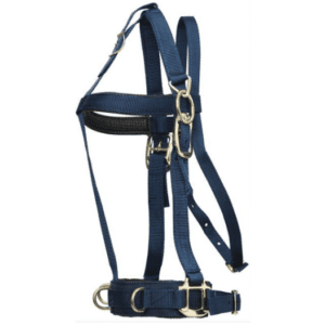 Deluxe lunge halter