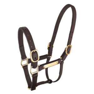 Epsom pn deluxe halter