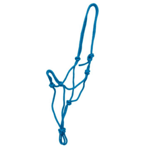 Knotted rope halter blue