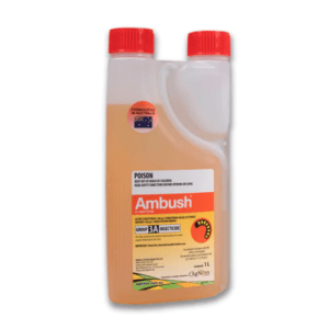 Ambush agnova 1l