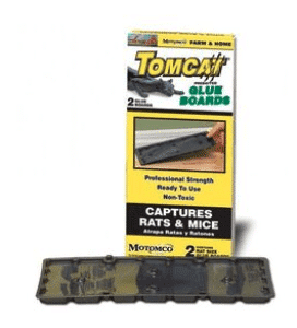 Tomcat glue board rat 2 pack