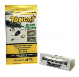 Tomcat glue traps