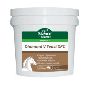 Diamond v 2kg