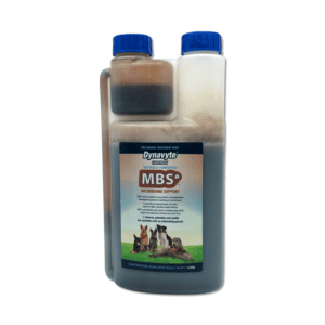 Dynavyte microbiome support for working dogs