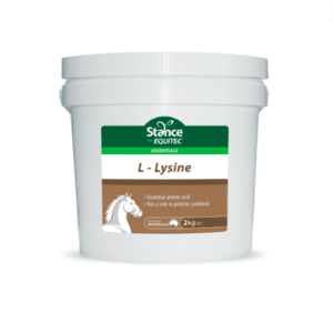 Equitec l lysine 2kg