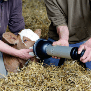 Resuscitator hk calf