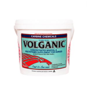 Volganic