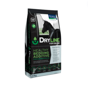 Dryline