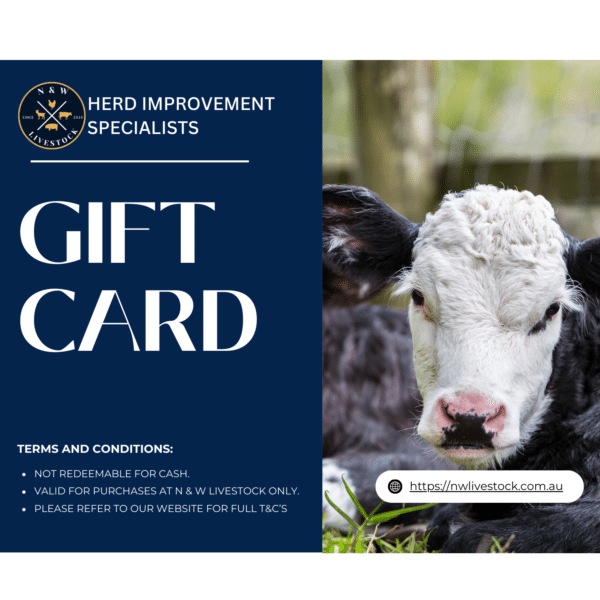 Gift card calf 1