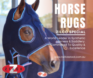 Zilco horse rugs