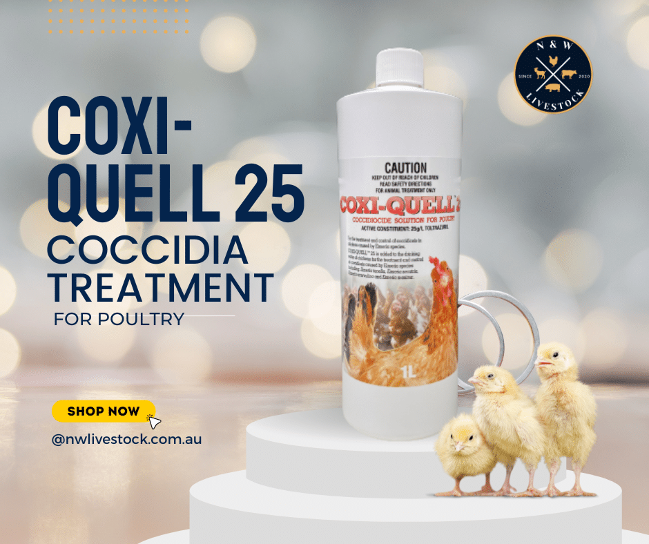 Coxi Quell 25 for Poultry