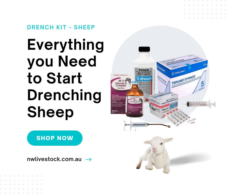 Sheep drench kit - complete
