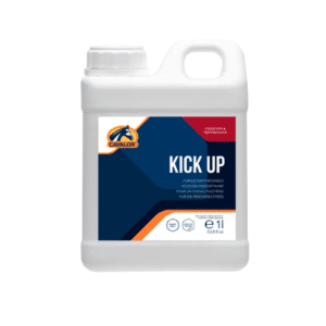 Kick up 1 litre