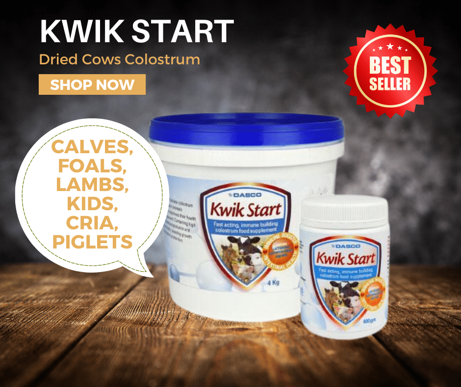 Kwik start dried cows colostrum