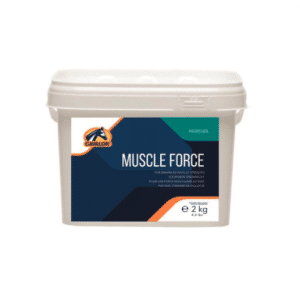 Muscle force 2kg