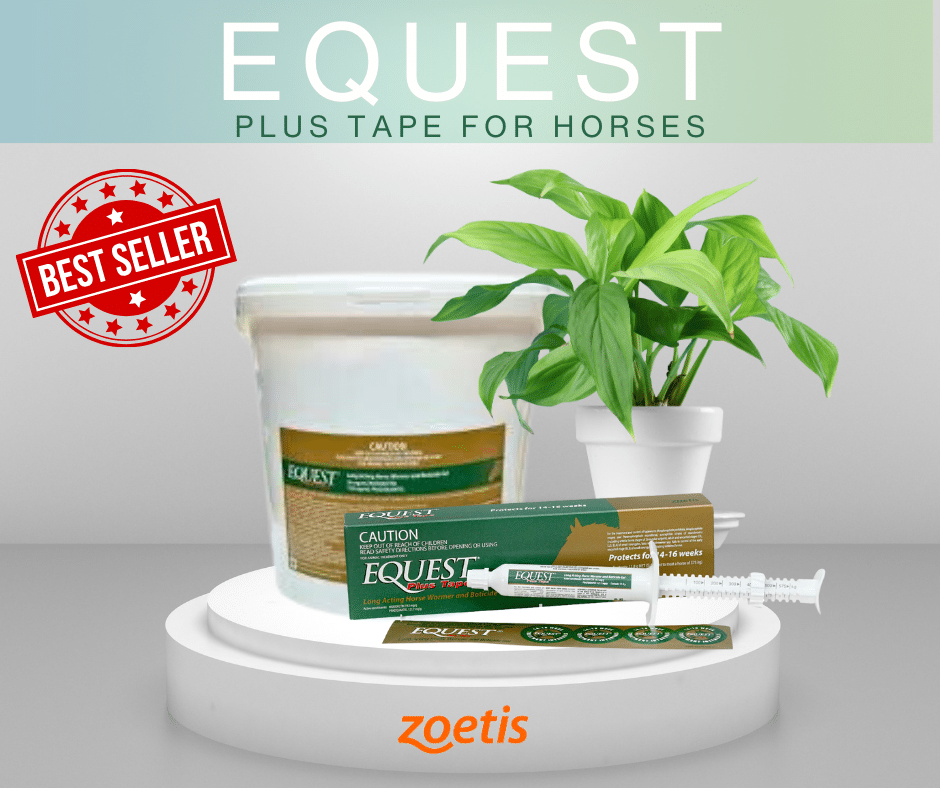 Equest Plus tape