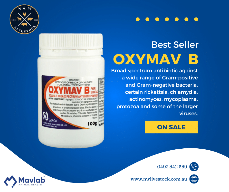 Oxymav B