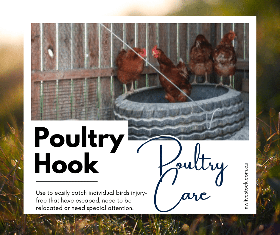 Poultry Hook