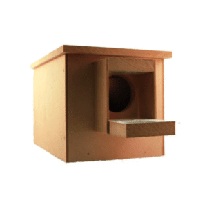 Budgie Breeding Box