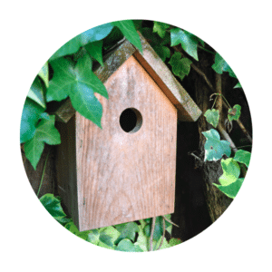 Nesting Boxes