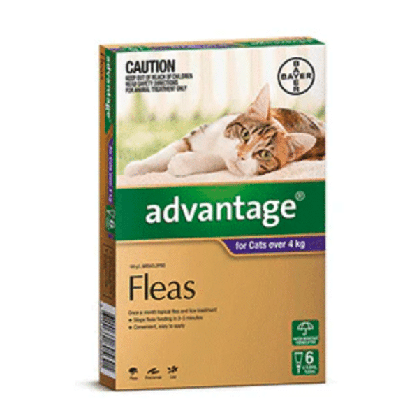 Advantage for cats over 4kg 6s