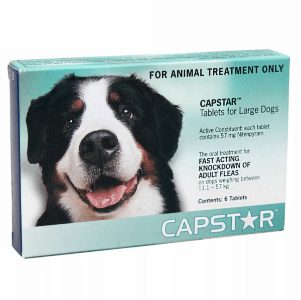 Capstar tablets 6s large